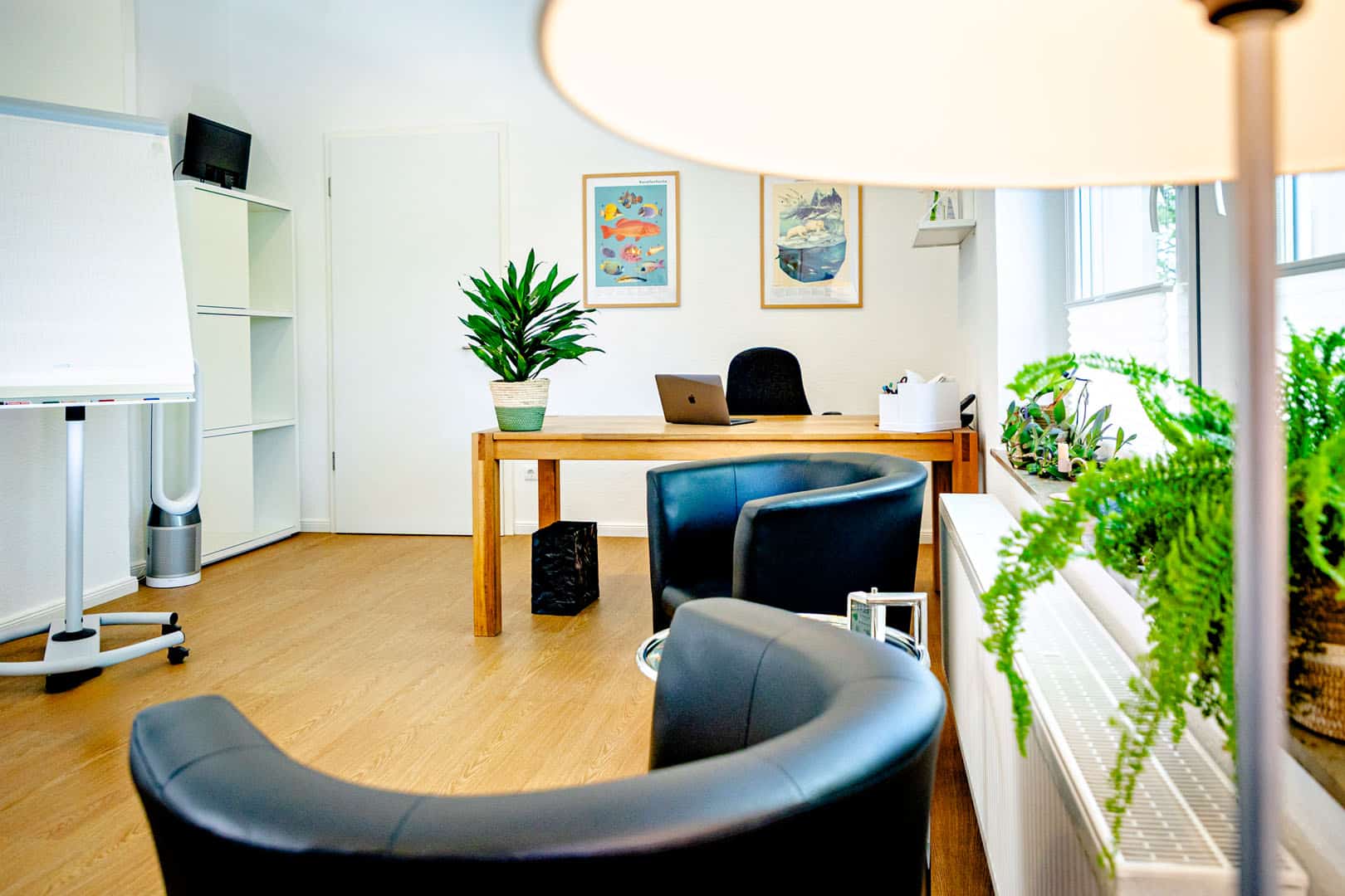 Räumlichkeiten Zwei dunkle Lederstühle in einer hellen psychologischen Praxis in Osnabrück